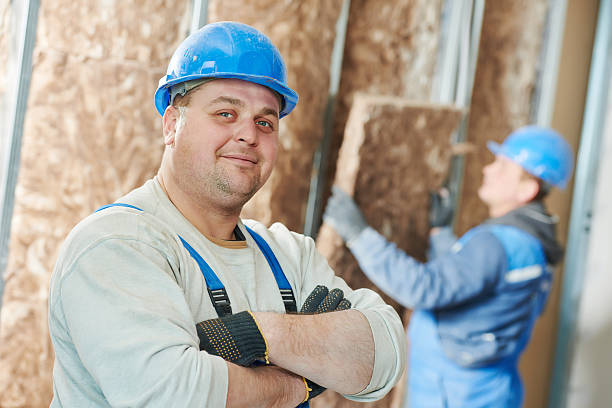 Best Eco-Friendly or Green Insulation Solutions  in Stevenson Ranch, CA